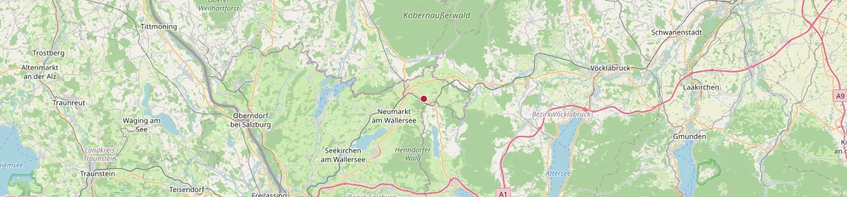 Karte: Unterrichtsstandorte — Strasswalchen
