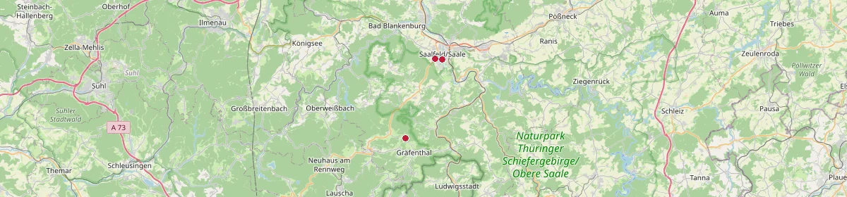 Karte: Unterrichtsstandorte — Saalfeld/Saale