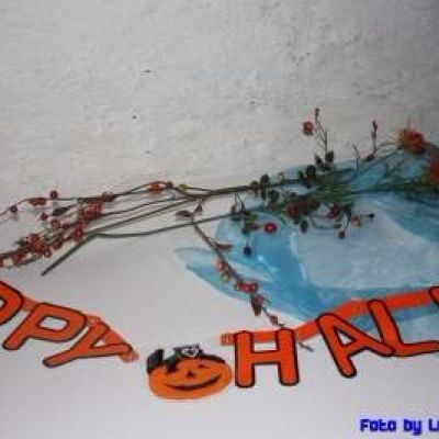 Ein tolles Bild, Bild 16 von 21