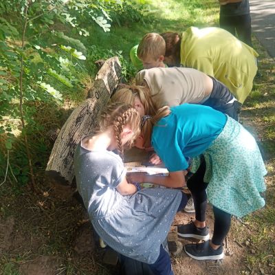 Ein tolles Bild, Bild 8 von 10