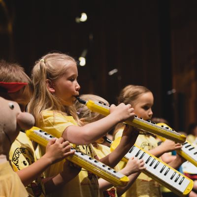 melodika_konzert_3.jpg