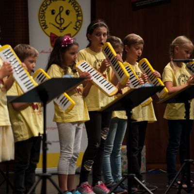 melodika_konzert.jpg