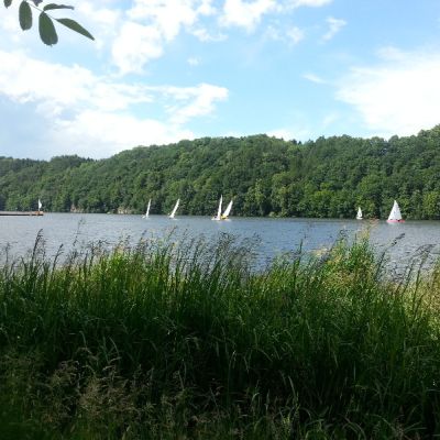 c854aed6-bdc3-410d-a484-e438d3032a57.jpg
