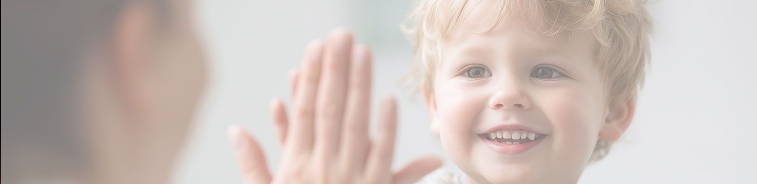 MF-Webseiten Banner